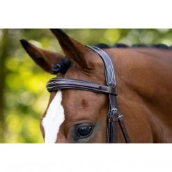 KL Select Hampton Bridle 8 KL Select Hampton Bridle
