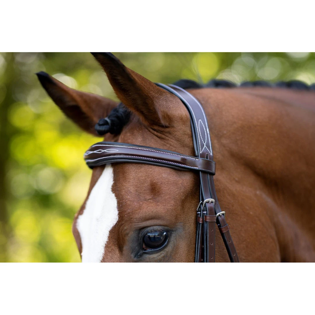 KL Select Hampton Bridle 5 KL Select Hampton Bridle