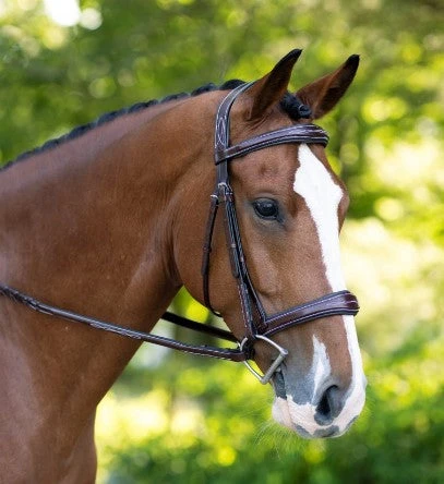KL Select Hampton Bridle 4 KL Select Hampton Bridle