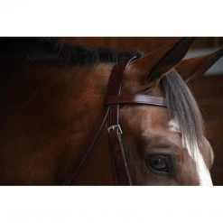 KL Select Italia Foxwell Hunt Bridle