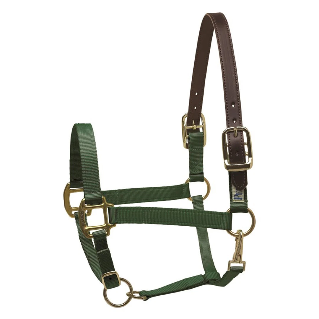 Perri's Leather Perri's Economy Safety Halter Halters & Leads 4 Perri's Leather Perri's Economy Safety Halter Halters & Leads