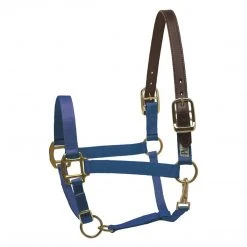 Perri's Leather Perri's Economy Safety Halter Halters & Leads 11 Perri's Leather Perri's Economy Safety Halter Halters & Leads