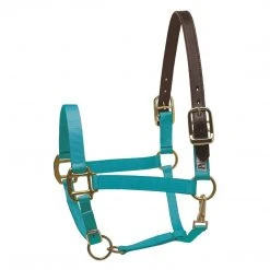 Perri's Leather Perri's Economy Safety Halter Halters & Leads 12 Perri's Leather Perri's Economy Safety Halter Halters & Leads
