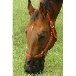 Jacks Mfg Best Friend Grazing Muzzle