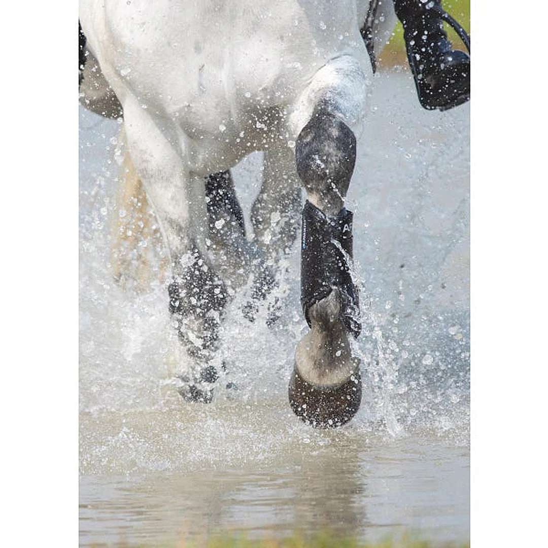 Shires Equestrian Products Arma Cross Country Front Boots Horse Boots & Wraps 4 Shires Equestrian Products Arma Cross Country Front Boots Horse Boots & Wraps