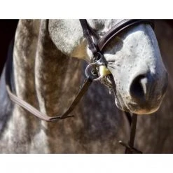 ThinLine English Reins 33 ThinLine English Reins