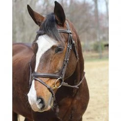 JPC Equestrian HDR Kushy Bridle With Detachable Flash