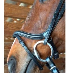 Nunn Finer A Forma Di Shaped Bridle English Bridles