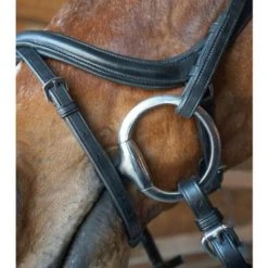 Nunn Finer A Forma Di Shaped Bridle English Bridles