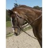 English Riding Supply Ovation Stretch Cord Draw Reins
