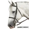 English Riding Supply Ovation Euro Bit Converter Horse Bits