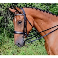 Red Barn By KL Select Cadence Weymouth Dressage Bridle English Bridles