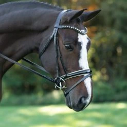 English Bridles Red Barn By KL Select Stride Dressage Bridle