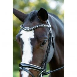 English Bridles Red Barn By KL Select Stride Dressage Bridle