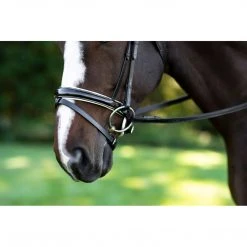 English Bridles Red Barn By KL Select Stride Dressage Bridle