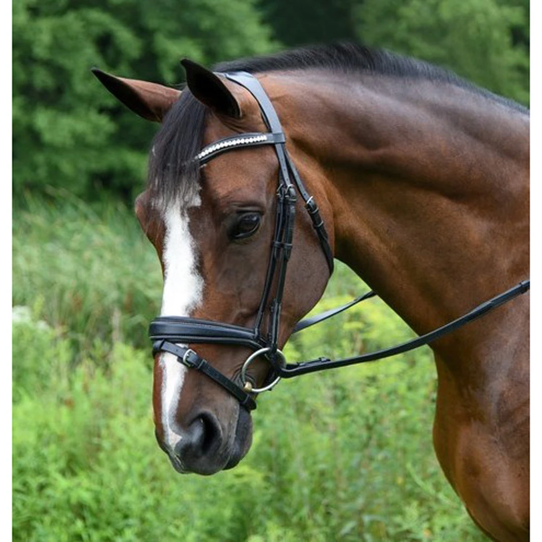 Red Barn By KL Select Pace Dressage Bridle English Bridles 3 Red Barn By KL Select Pace Dressage Bridle English Bridles