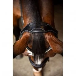 Red Barn By KL Select Pace Dressage Bridle English Bridles