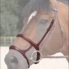 Sagmae Dyon New English Double Noseband
