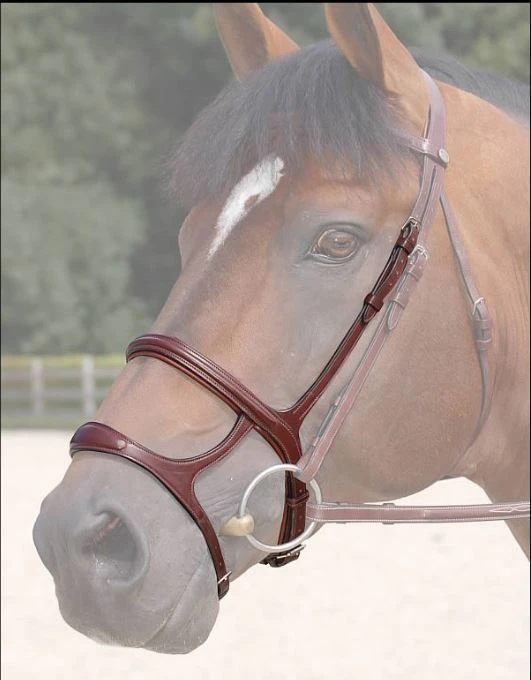 Sagmae Dyon New English Double Noseband 3 Sagmae Dyon New English Double Noseband