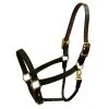 Halters & Leads Walsh Breakaway 1" Halter With Straight Chin