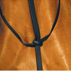 Saddlery Brands International Wintec Standing Martingale 7 Saddlery Brands International Wintec Standing Martingale