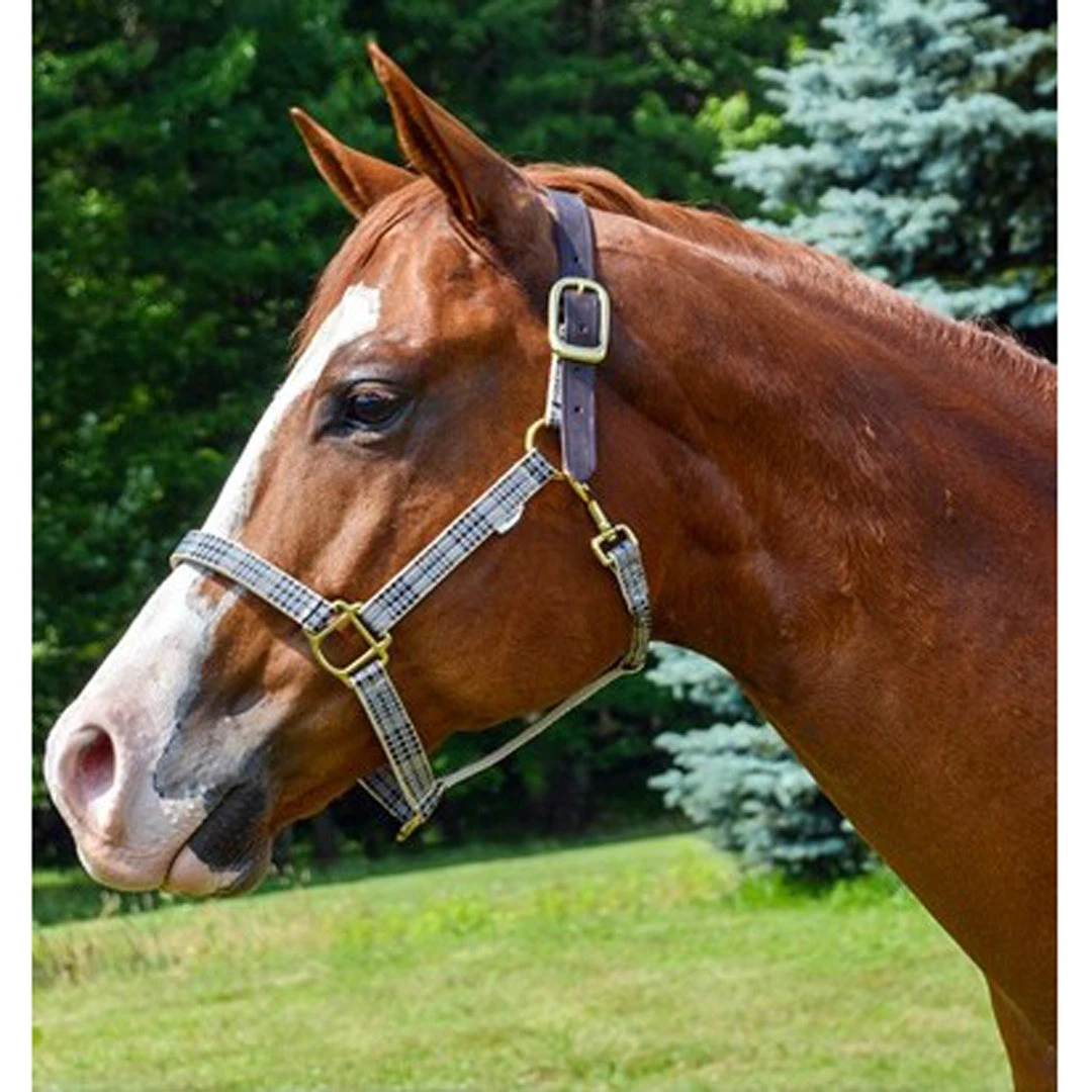 Jacks Mfg Halters & Leads 5/A Baker Breakaway Halter With Full Leather Crown 4 Jacks Mfg Halters & Leads 5/A Baker Breakaway Halter With Full Leather Crown
