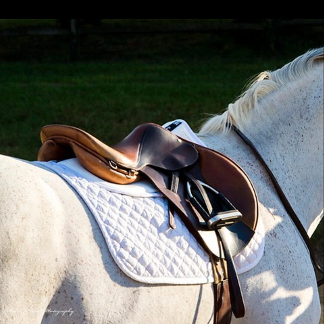 ThinLine Trifecta Cotton Half Pad 10 ThinLine Trifecta Cotton Half Pad