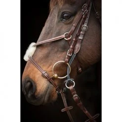 English Bridles Nunn Finer Gag Hanger