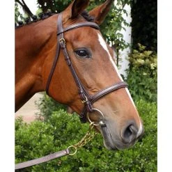 Nunn Finer Newmarket Shank Halters & Leads