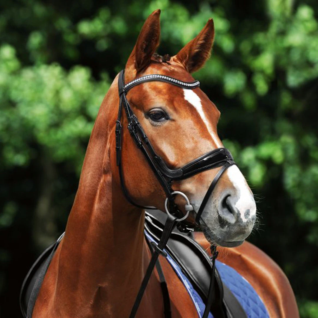 Passier Starlight Snaffle Bridle English Bridles 4 Passier Starlight Snaffle Bridle English Bridles