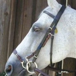 Nunn Finer Kineton Noseband English Bridles
