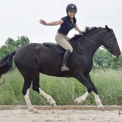 ThinLine Trifecta Comfort Bareback Saddle Pad Saddle Pads & Fittings