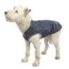 Shires Equestrian Products Horse Blankets & Stable Sheets Shires Digby & Fox Softshell Dog Coat