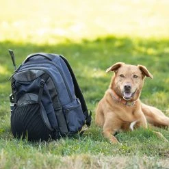 Kerrits EQ Backpack 22 Kerrits EQ Backpack