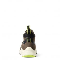 Riding Boots & Half Chaps Ariat Women's Ignite Chelsea Waterproof Boot