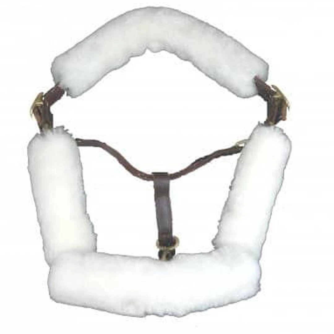 Halters & Leads Fleeceworks Halter Padded Fleeces 3 Halters & Leads Fleeceworks Halter Padded Fleeces