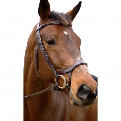 Nunn Finer Innovativo Shaped Bridle English Bridles