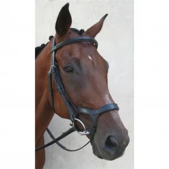 Nunn Finer Innovativo Shaped Bridle English Bridles 7 Nunn Finer Innovativo Shaped Bridle English Bridles