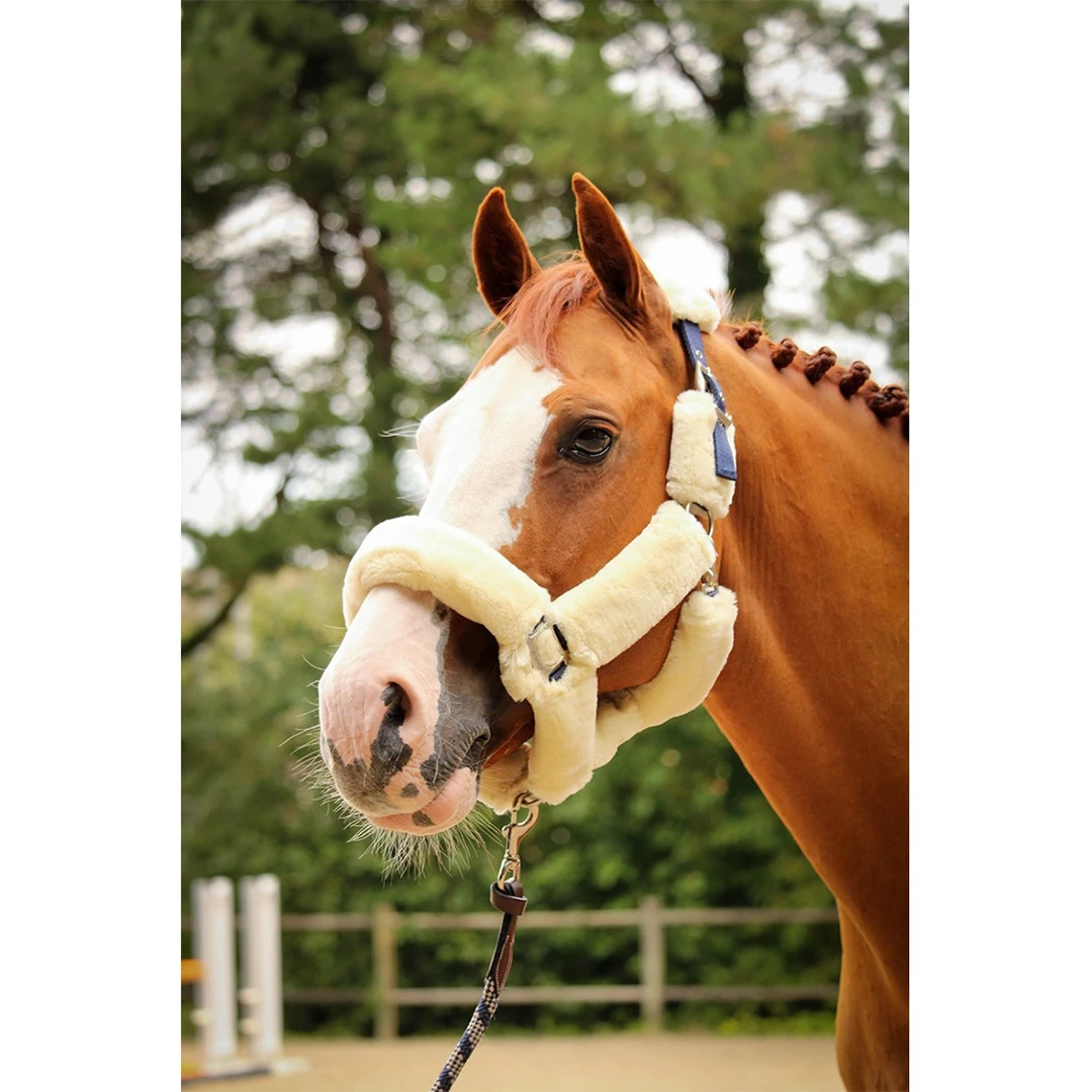 French Equestrian Jump' In Soft Halter - One Collection 3 French Equestrian Jump' In Soft Halter - One Collection
