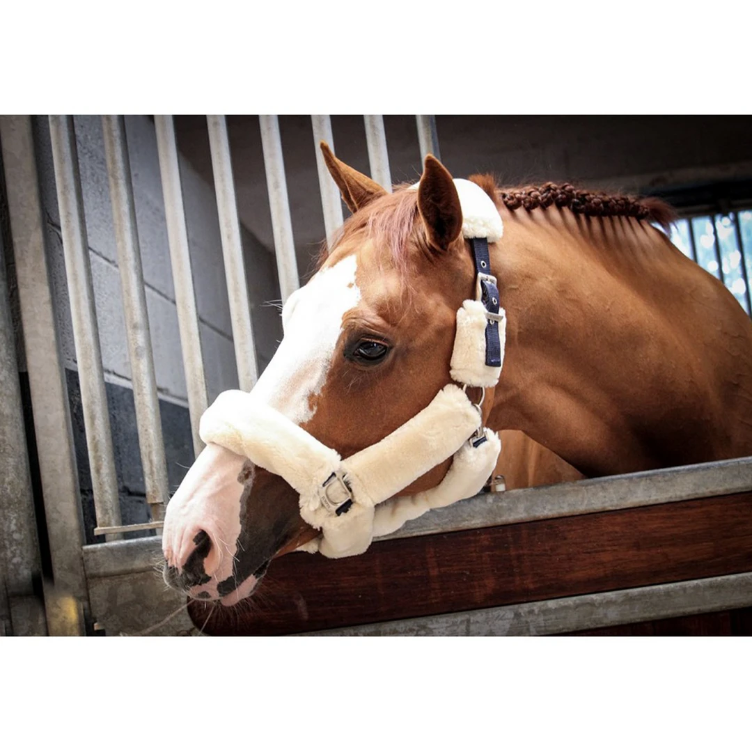 French Equestrian Jump' In Soft Halter - One Collection 4 French Equestrian Jump' In Soft Halter - One Collection