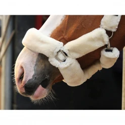 French Equestrian Jump' In Soft Halter - One Collection 10 French Equestrian Jump' In Soft Halter - One Collection