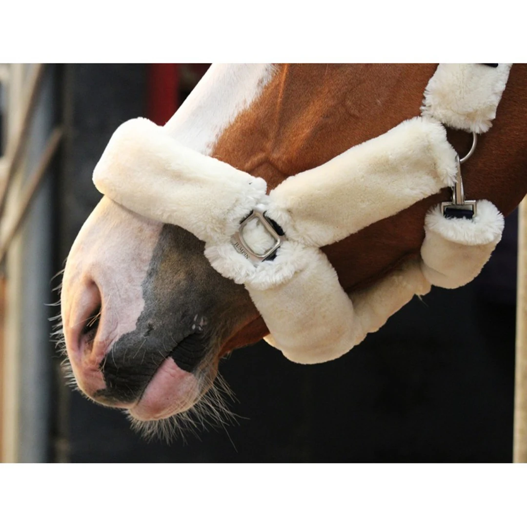 French Equestrian Jump' In Soft Halter - One Collection 5 French Equestrian Jump' In Soft Halter - One Collection