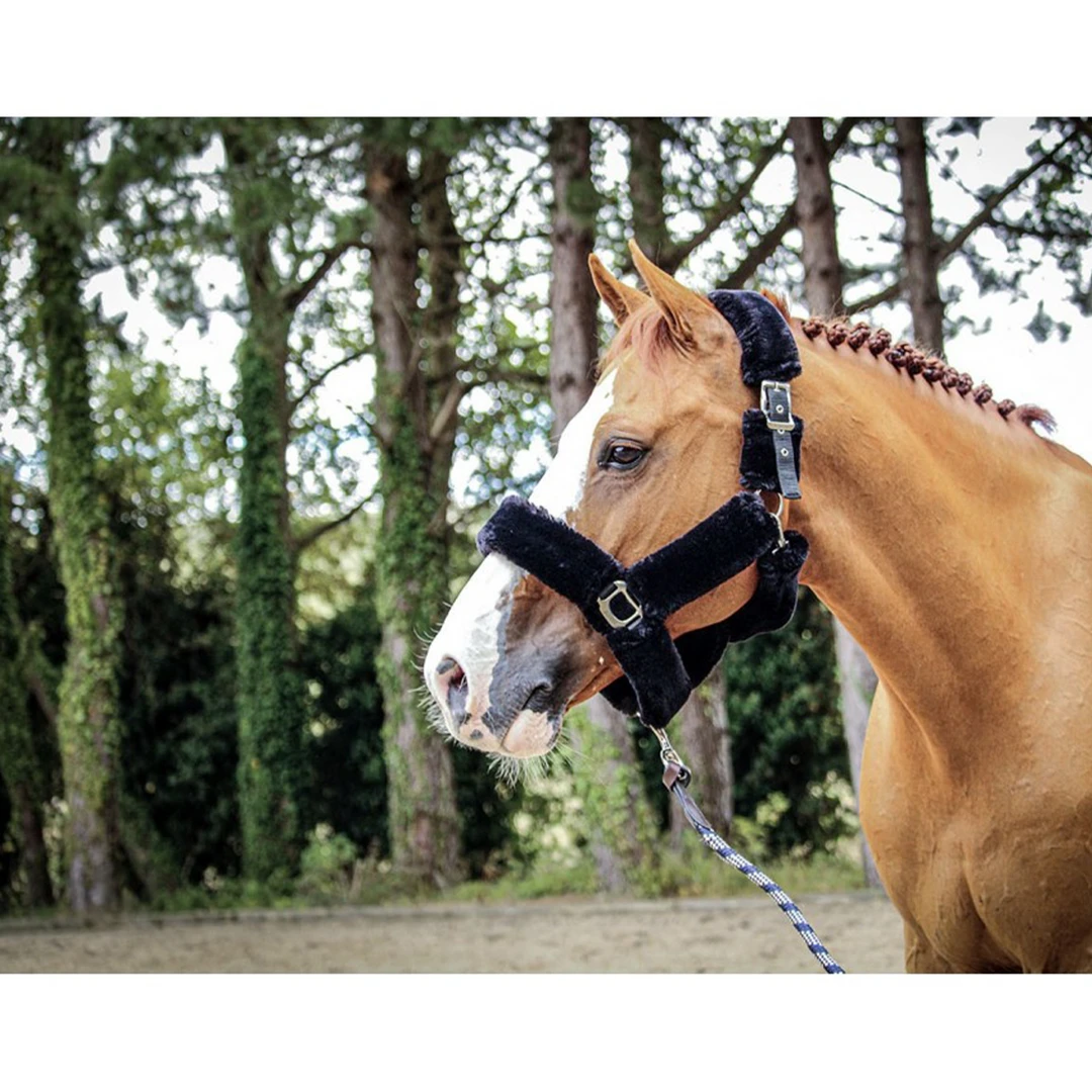 French Equestrian Jump' In Soft Halter - One Collection 8 French Equestrian Jump' In Soft Halter - One Collection