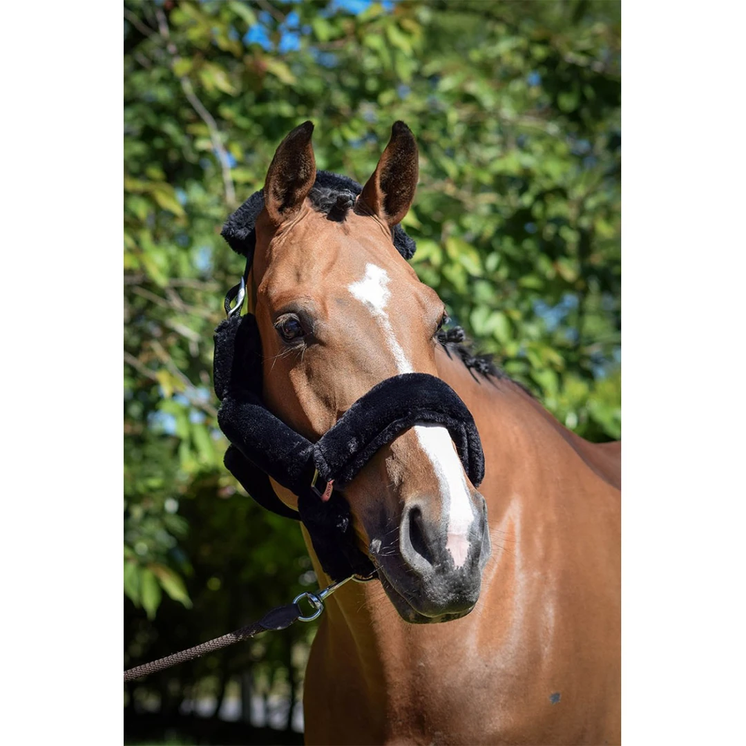 French Equestrian Jump' In Soft Halter - One Collection 7 French Equestrian Jump' In Soft Halter - One Collection