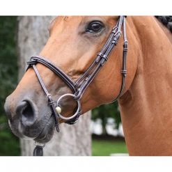 French Equestrian English Bridles Jump'in Thursday Bridle - Week Collection