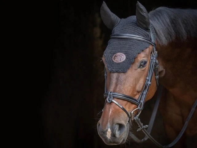 French Equestrian Jump'in Tuesday Bridle - Week Collection 4 French Equestrian Jump'in Tuesday Bridle - Week Collection