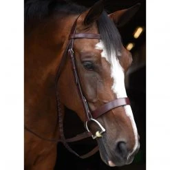 English Bridles Black Oak By KL Select Foxtrot Hunt Bridle