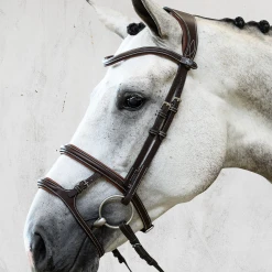 English Bridles PS Of Sweden Paris Bridle