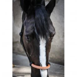 French Equestrian Halters & Leads Penelope American Rope Halter