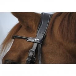 French Equestrian English Bridles Penelope Point Sellier Bridle